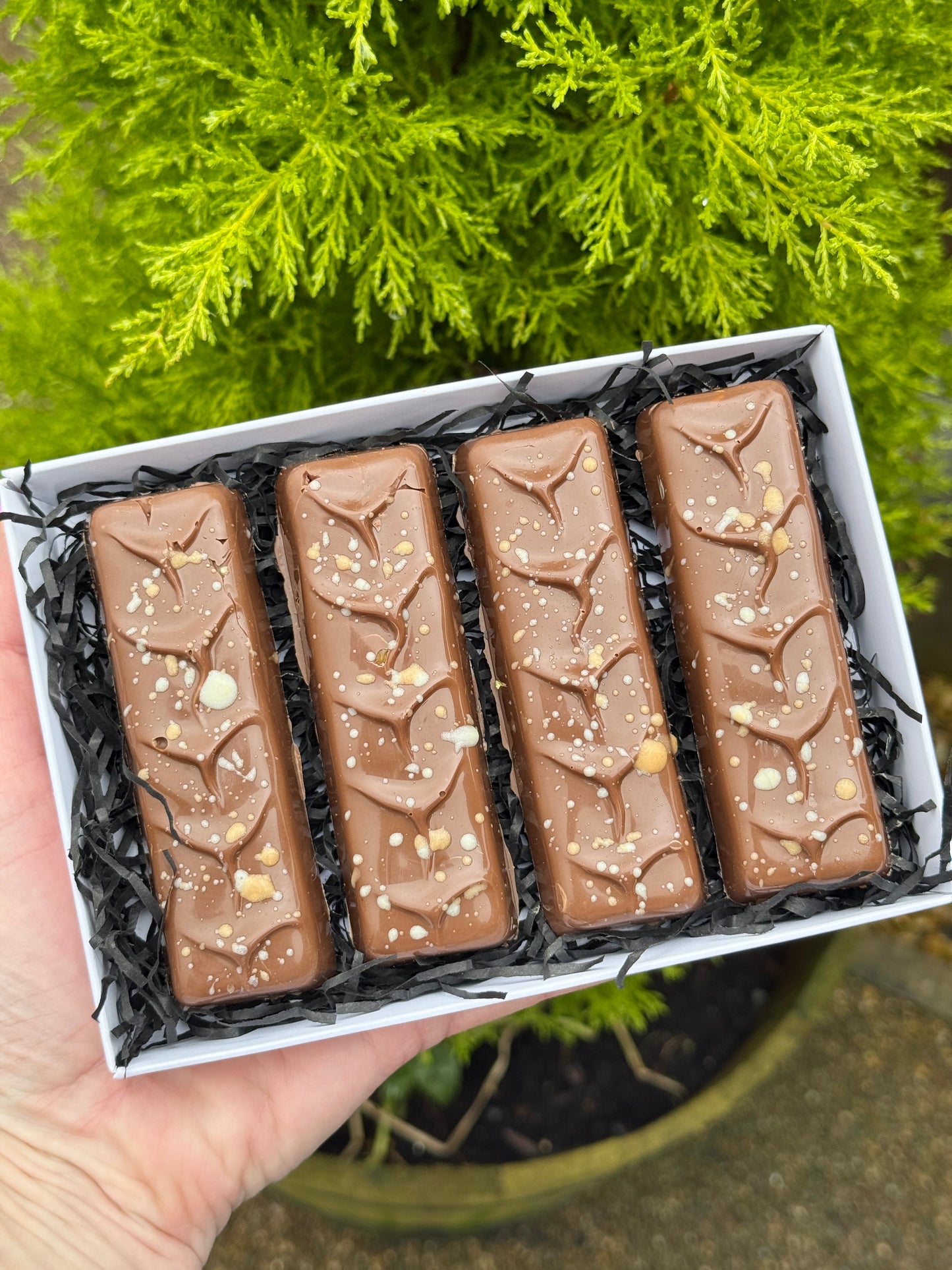 *New* Large Filled Snack Bar