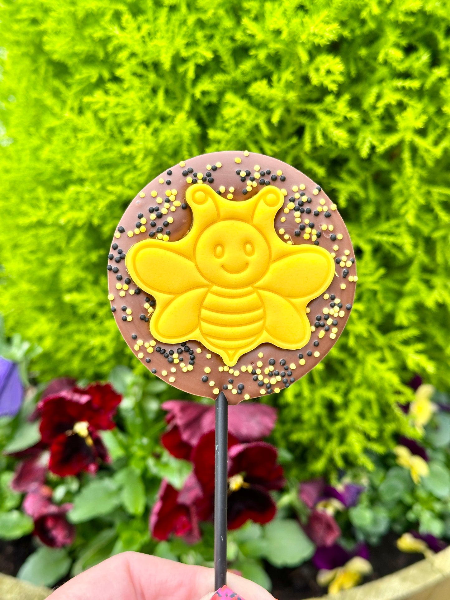 Teacher Bee Lollipop