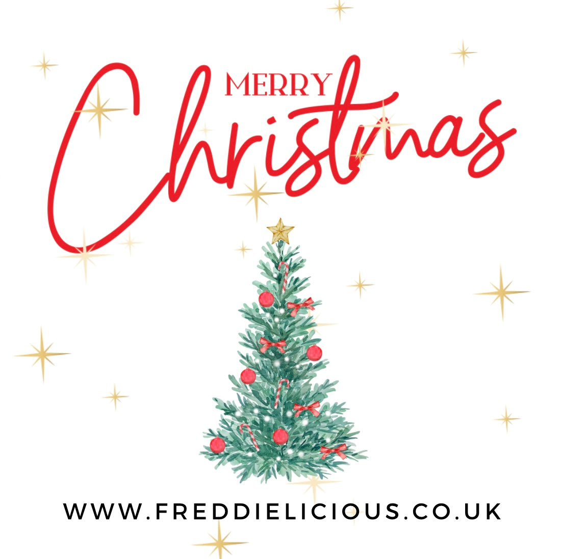 Small Merry Christmas Gift Box