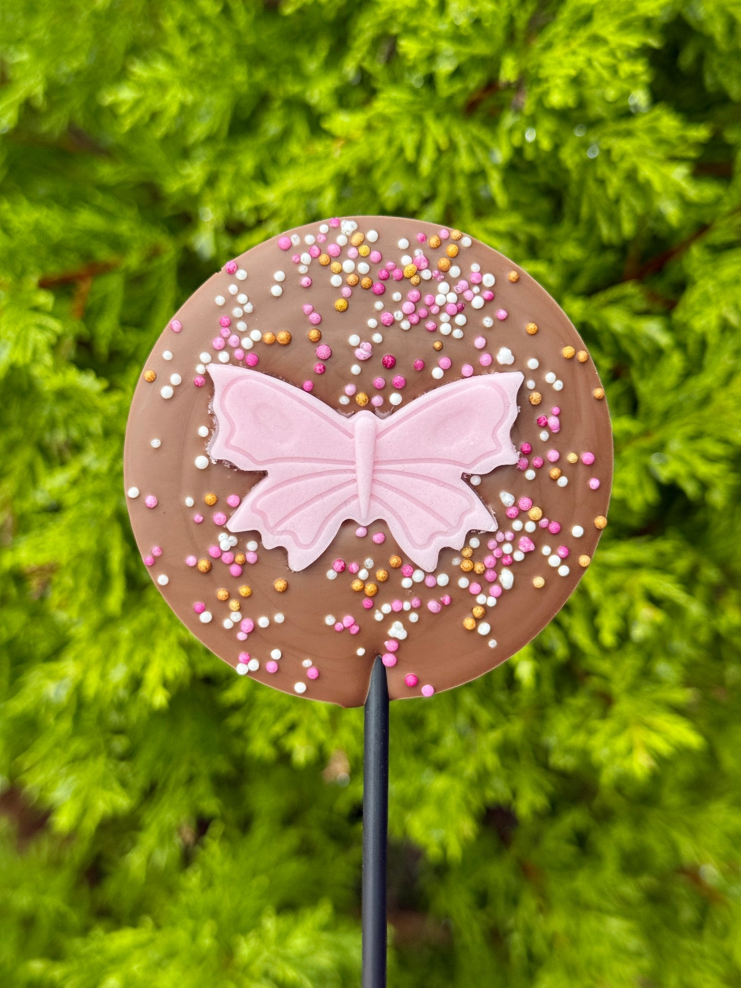 Butterfly Lollipop