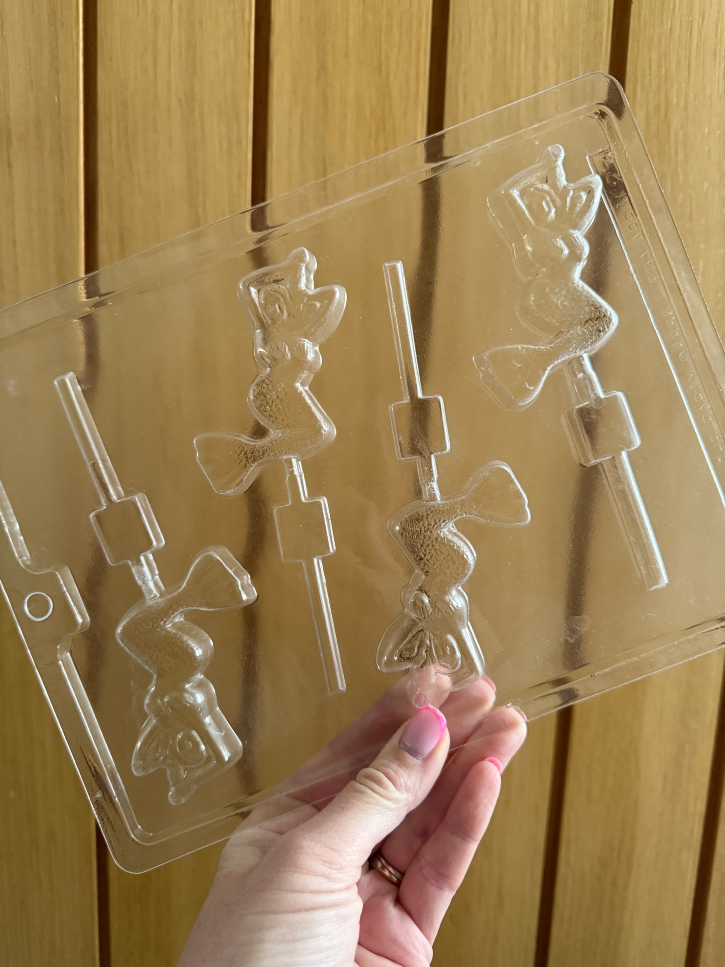 Plastic/Silicone Moulds