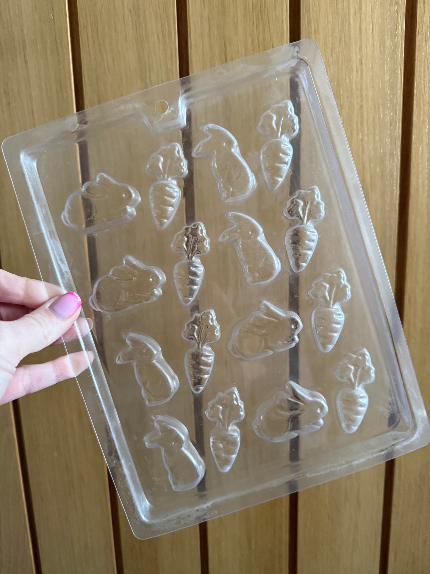 Plastic/Silicone Moulds