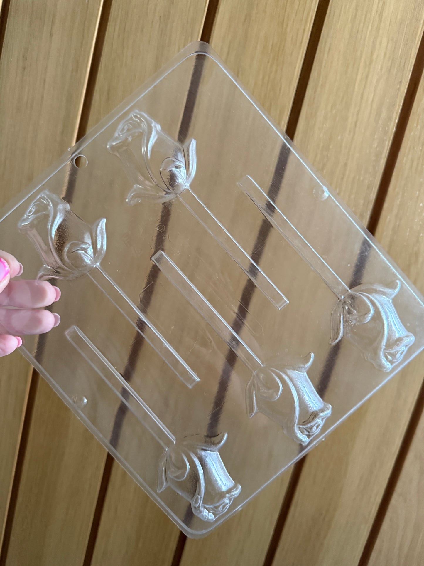 Plastic/Silicone Moulds