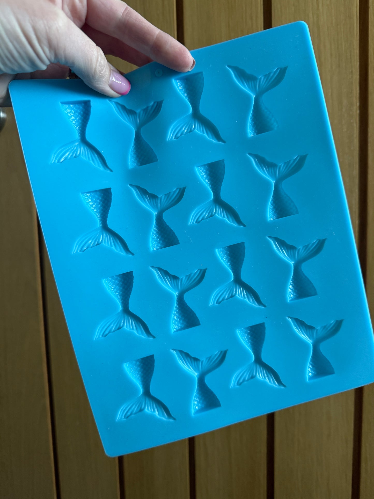 Plastic/Silicone Moulds